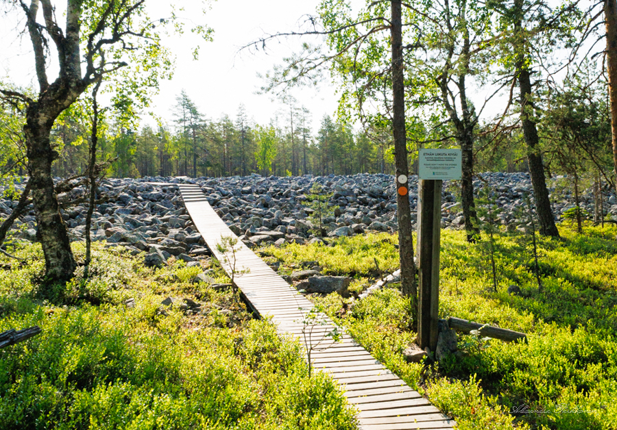 Lankkupolku johdattaa suurelle kivijadalle. Ympärillä on puita.