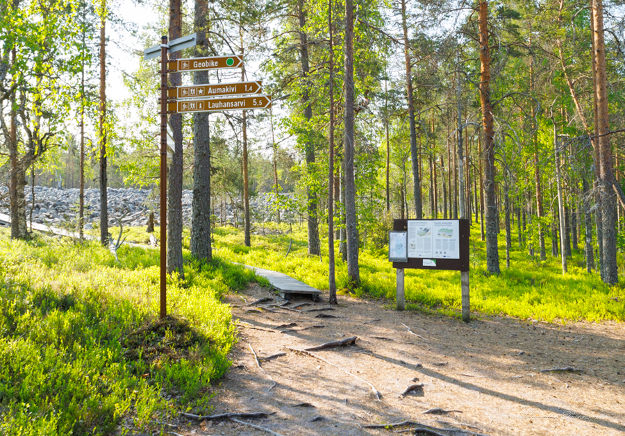 Retkeilyreitin opastekyltit metsässä.