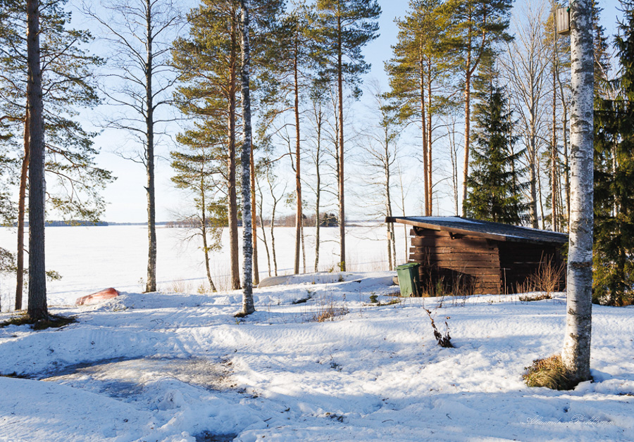 Laavun takaa otettu kuva, jossa näkyy oikealla laavu ja vasemmalla järvimaisema.