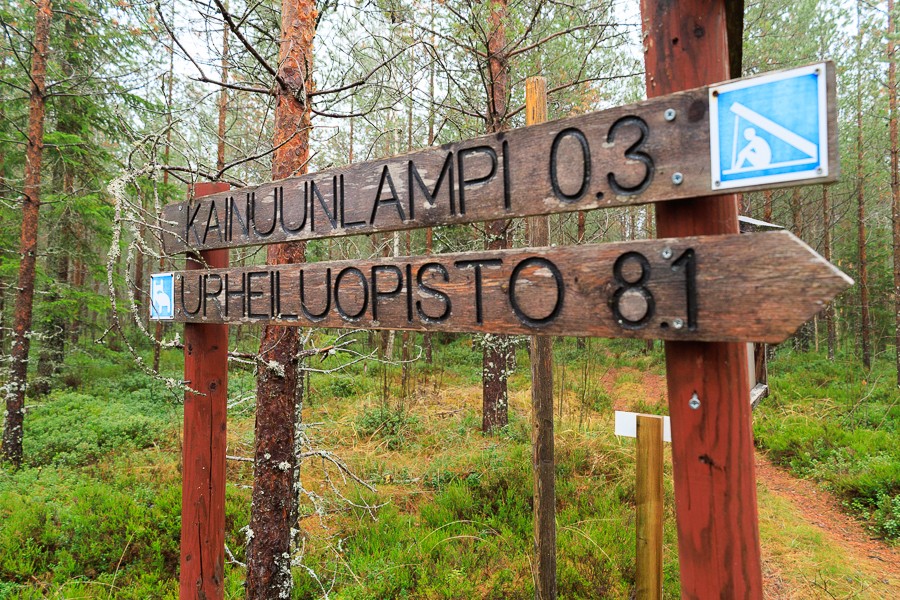 Retkeilyreitin opasteita metsässä.