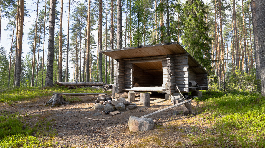 Metsässä sijaitseva laavu. Laavun edessä on kivistä kasattu nuotiopaikka sekä puisia penkkejä.