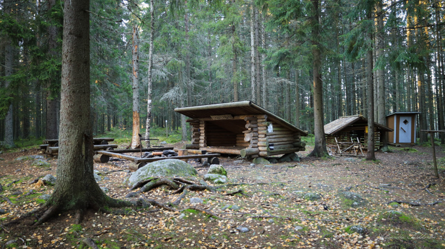 Laavu sankan kuusimetsän keskellä. Laavun edessä on puisin penkein reunustettu nuotiopaikka.