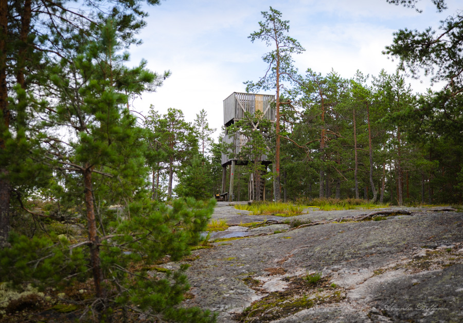 Puiden lomasta näkyy puiselle näkötornille, joka sijaitsee avokallion päällä.