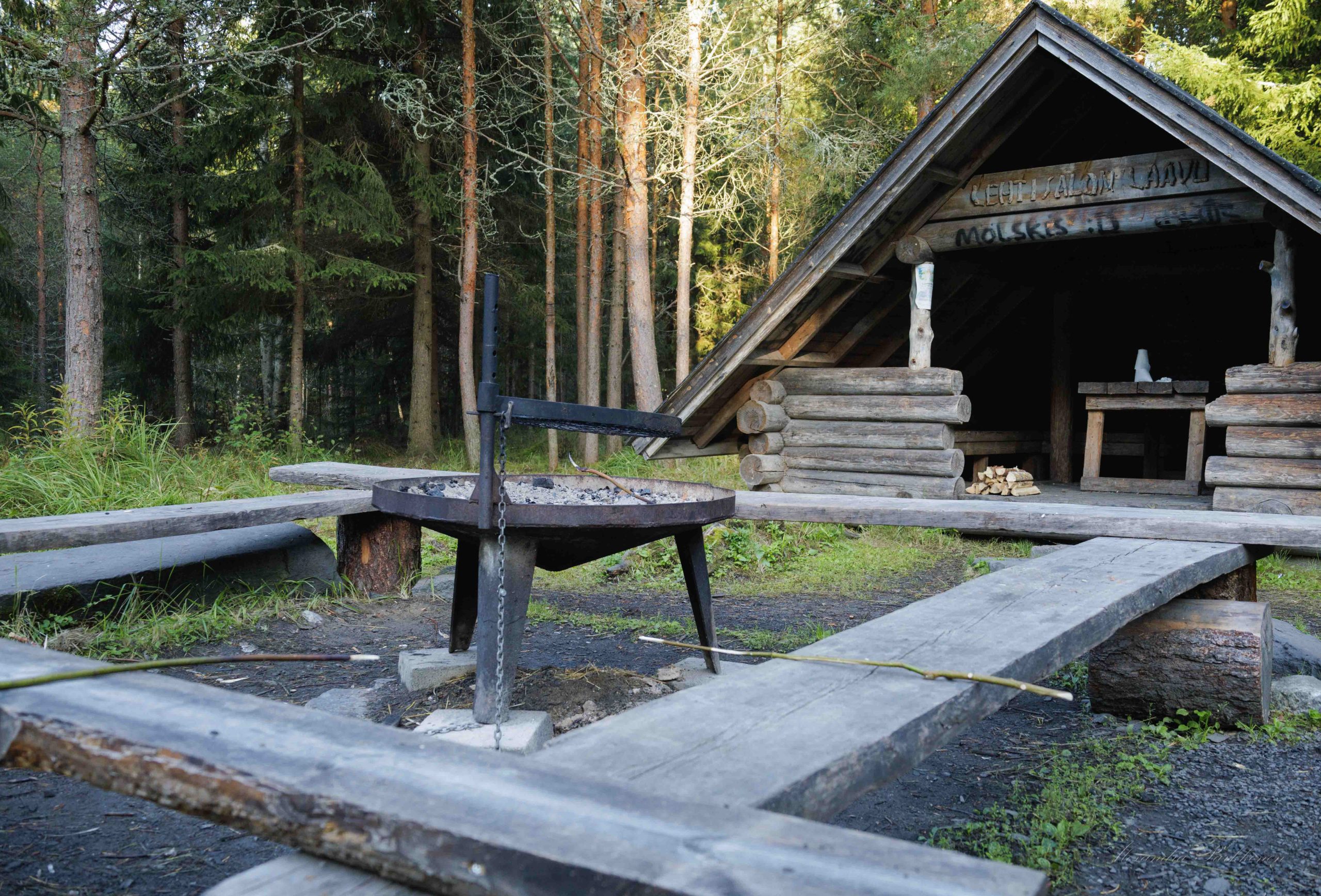 Lähikuva laavun nuotiopaikasta, jota reunustavat puiset penkit. Taustalla näkyy laavu.