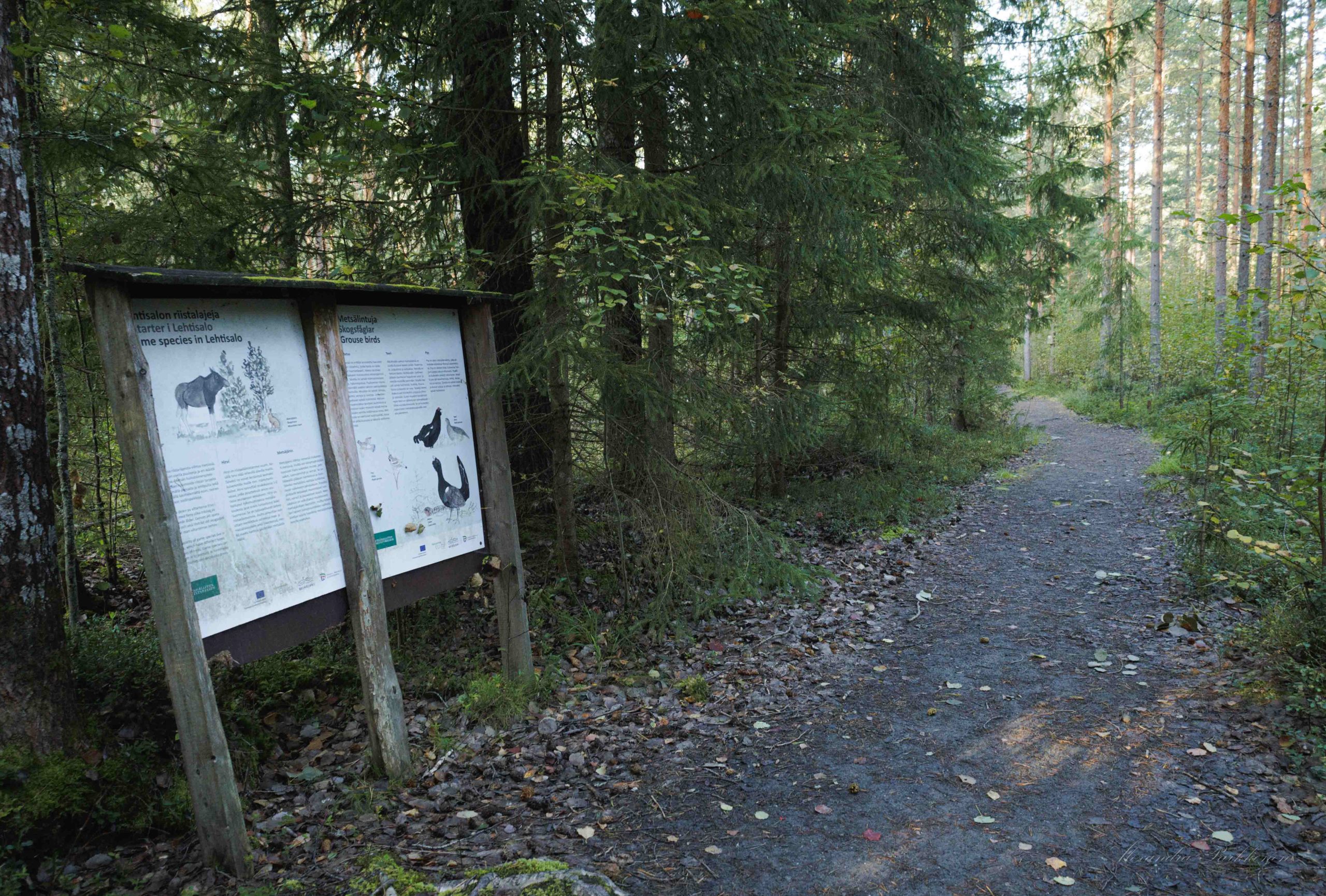 Kivituhkalla päällystetty polku kulkee metsässä. Kuvassa vasemmalla näkyy myös retkeilyreitin opastekyltti.