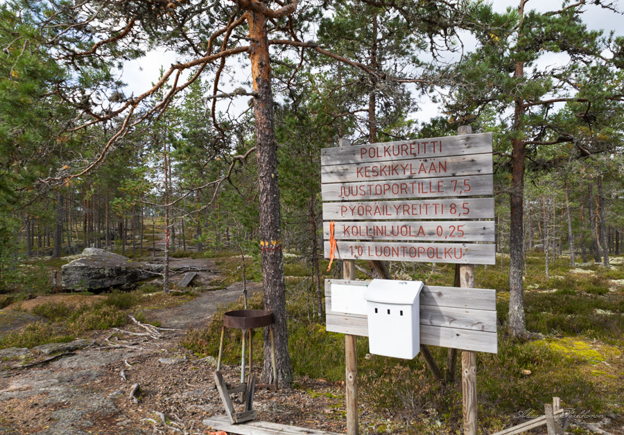 Retkeilyreitin puinen opasteviitta metsän reunalla. Vasemmalla näkyy polku.
