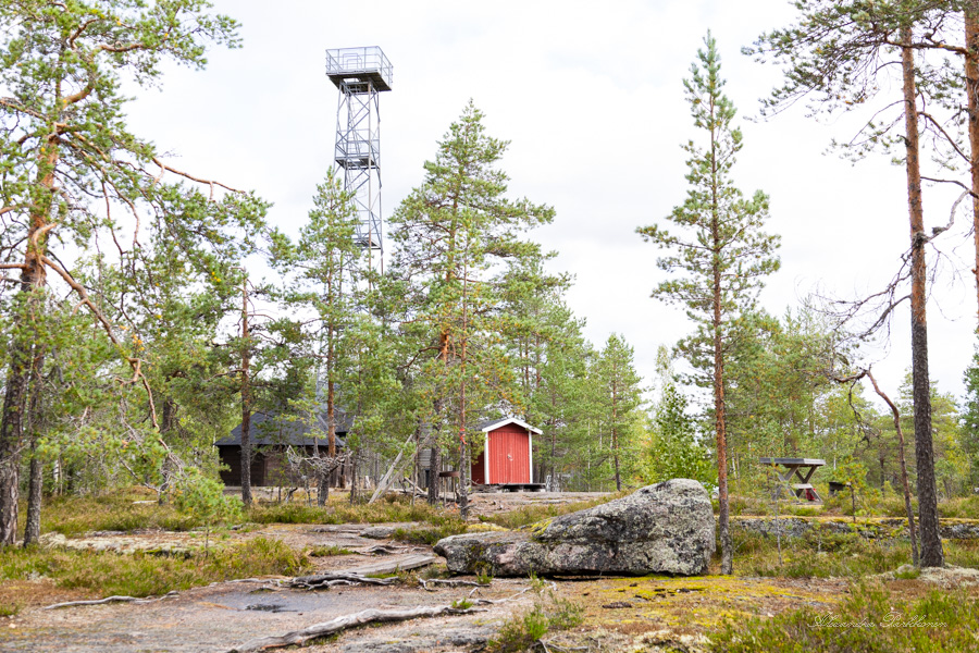 Rautainen näkötorni näkyy puiden välistä. Etualalla näkyy kalliota.