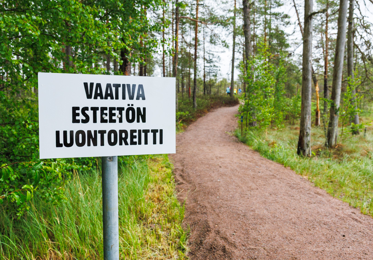 Kivituhkapintainen leveä polku kulkee metsään. Etualalla on kyltti, jossa lukee vaativa esteetön luontoreitti.