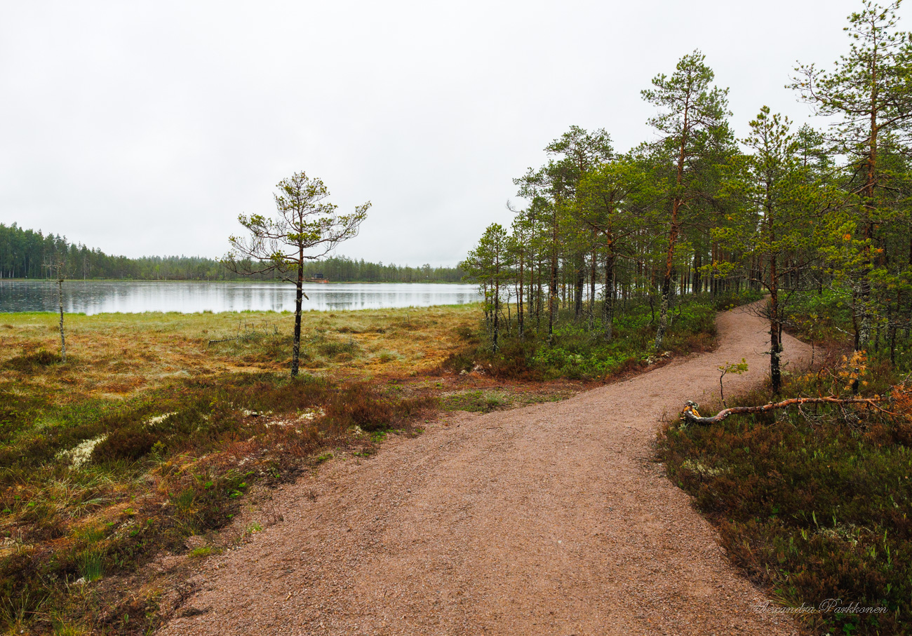 Kivituhkapintainen leveä polku kulkee järven rannalla.